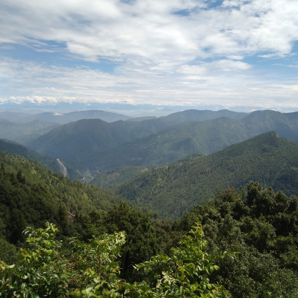 Green Valley || Camping in Nainital Pangot 
