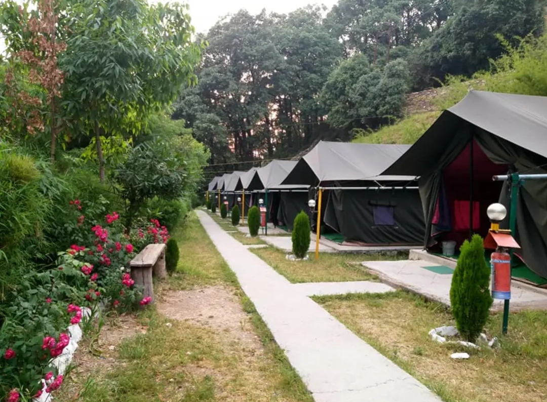 Mehi Camping in Nainital Pangot