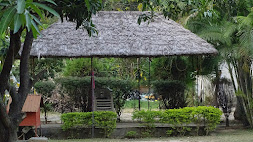 Maya Resort in Jim Corbett Ramnagar
